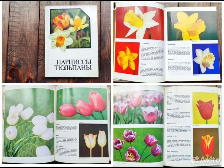 Советские книги животные, пчелы