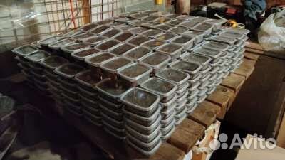 Черви для рыбалки, Дендробена, Выползок, опарыш