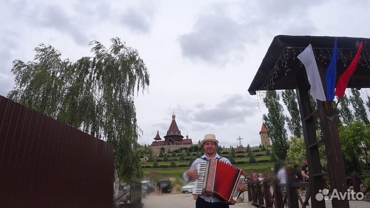 Аккордеонист Баянист Гармонист на праздники