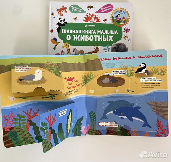 Комплект детских книг clever с окошками