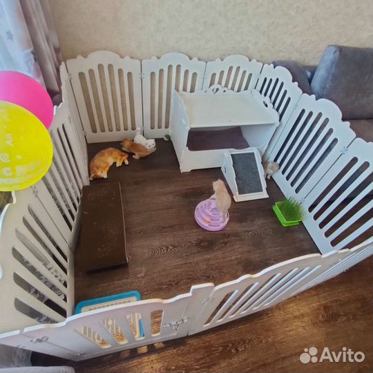 Вольер для питомцев