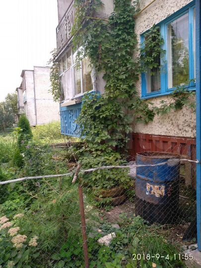 2-к. квартира, 53,3 м², 1/2 эт.