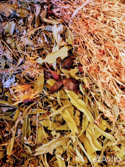 Травяной чай