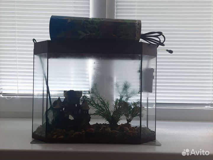 Аквариум
