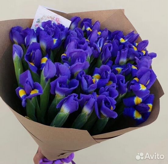 Цветы Ирисы Доставка 24\7