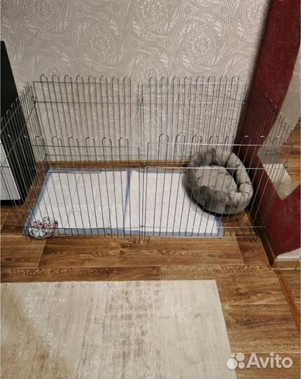 Вольер / манеж / клетка для собак 6 секций (новый)