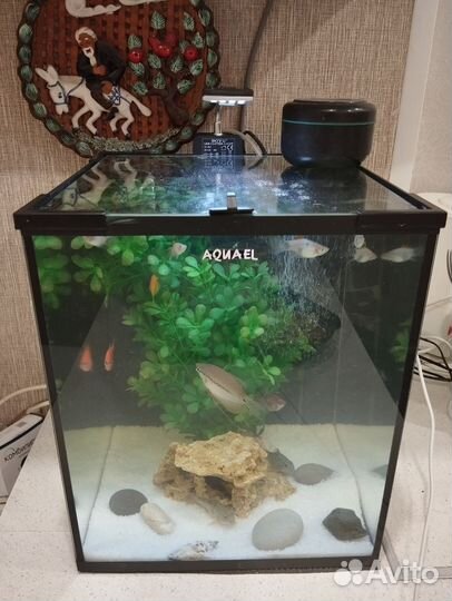 Аквариум aquael на 30 литра