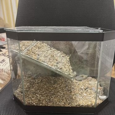 Аквариум для красноухой черепахи