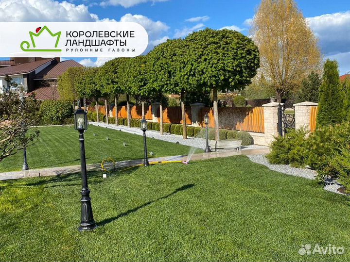Рулонный газон
