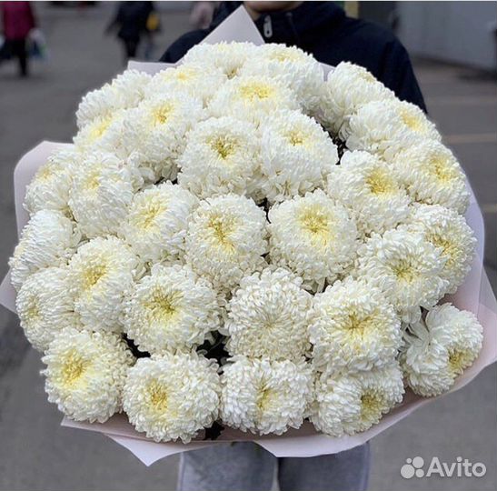 Хризантема одноголовая