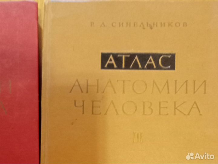 Атлас анатомии человека 3 тома