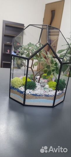 Флорариум подарок ваза
