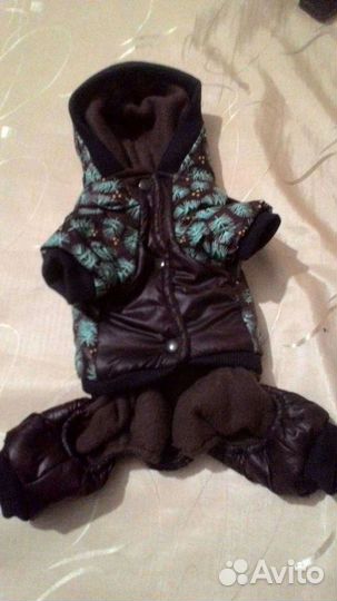 Одежда для собак