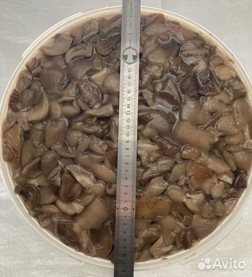 Продам маринованные лесные грибы опт