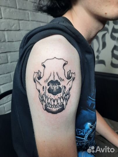 Начинающий тату Мастер