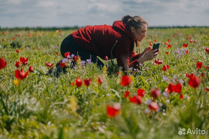 Авторские походы и туры. Подмосковье, Россия