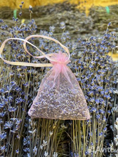 Саше Лаванда из Крыма