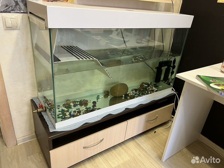 Аквариум для черепах