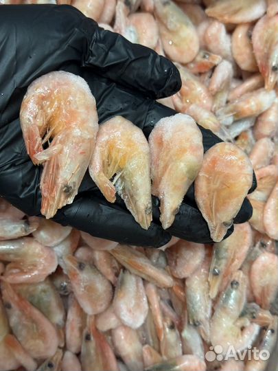 Креветка северная 150+