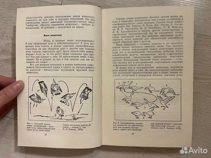 Морозов В. П. Занимательная биоакустика