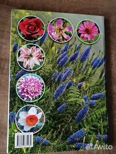 Flora of Madeira (Флора Мадейры), на англ. яз