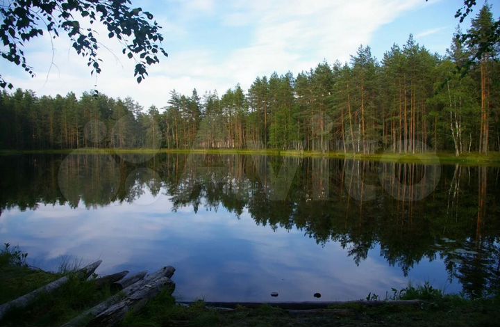 Участок 10 сот. (ИЖС)