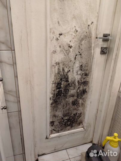 Уничтожение плесени