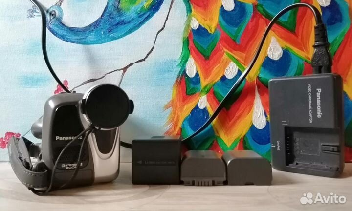 Видеокамера Panasonic NV-GS6