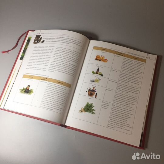 Фэншуй. Большая энциклопедия