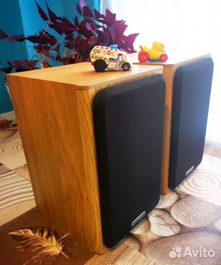 Колонки Monitor Audio Bronze BX1