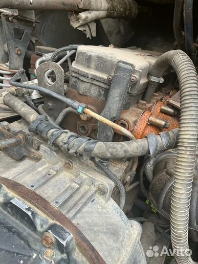 КамАЗ 65116, 2011