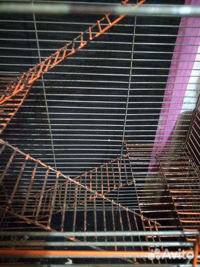 Клетка для грызунов