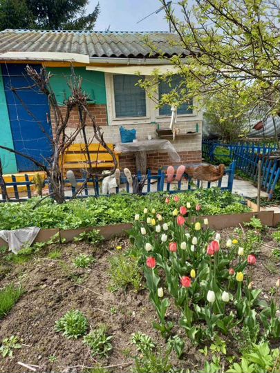 Дом 25 м² на участке 8 сот.