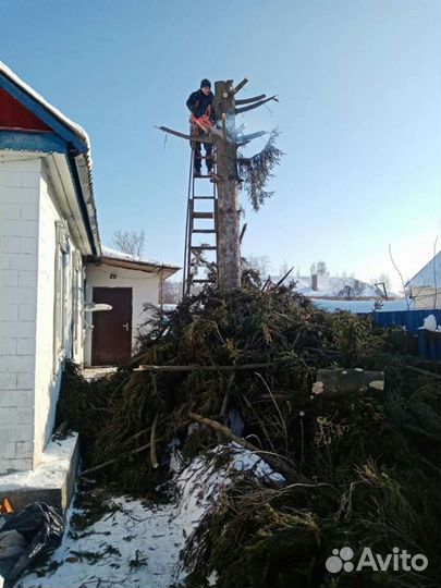 Спил деревьев,покос травы