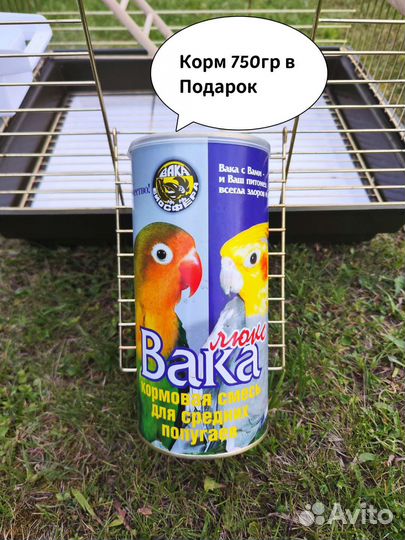 Клетка для средних попугаев + Подарки