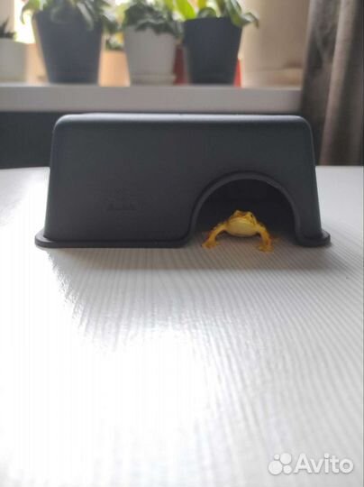 Домик укрытие для грызунов рептилий пауков