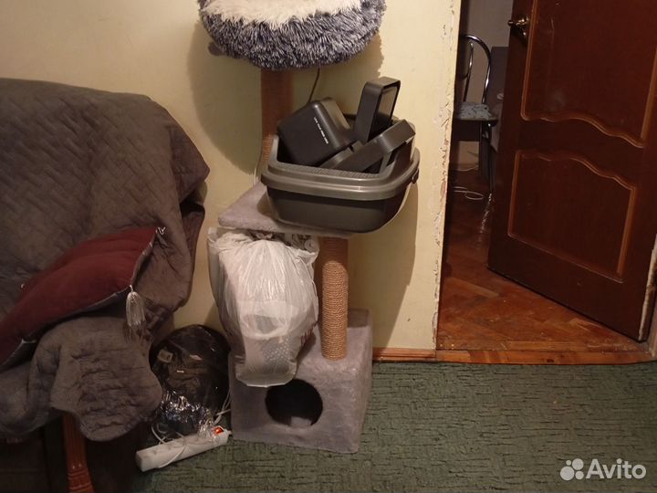 Приноднежности для котенка