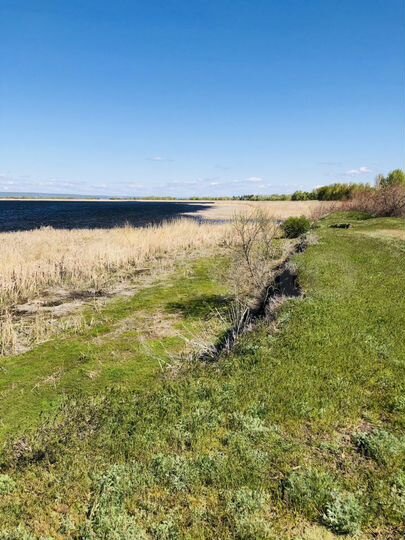 Участок 1,8 га (СНТ, ДНП)