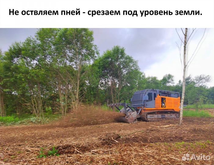 Аренда мульчера 450 л.с. на гусеничном ходу