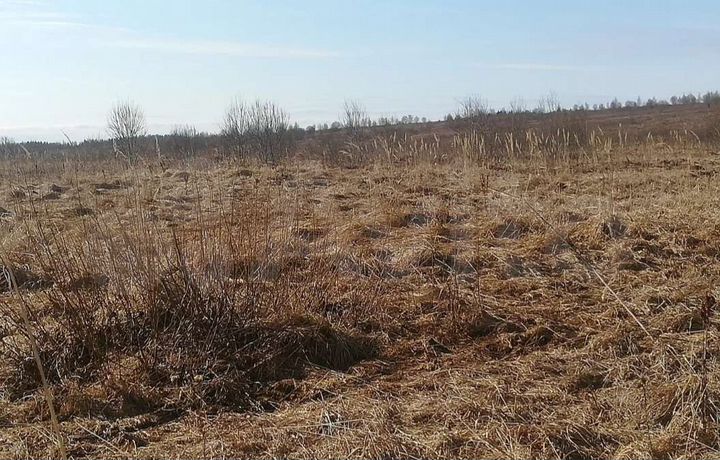 Участок 6 сот. (ИЖС)