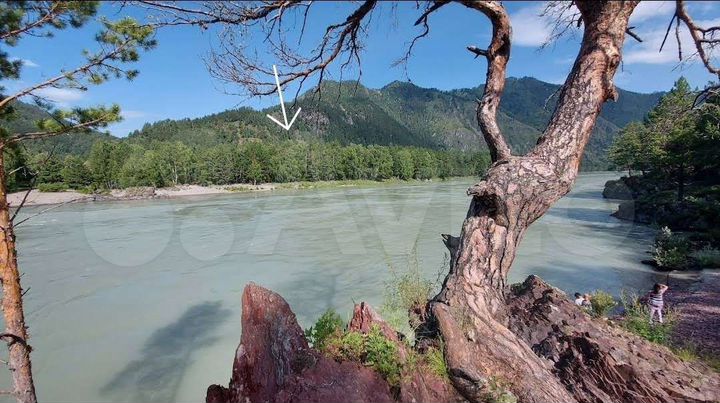 Участок 4,69 га (СНТ, ДНП)