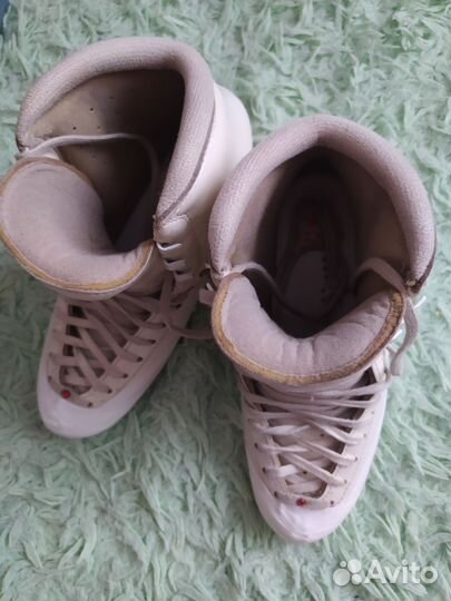 Ботинки Edea chorus 250