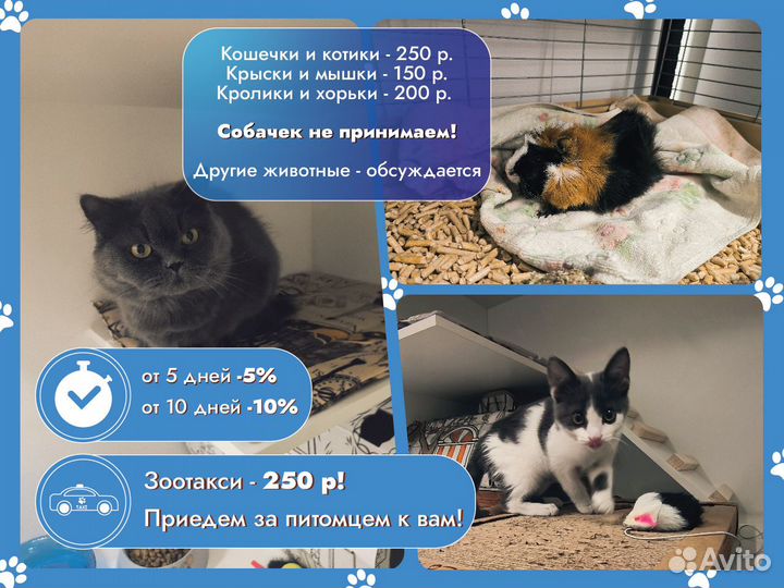 Зоогостиница для ваших питомцев