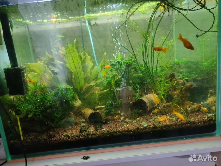 Аквариум