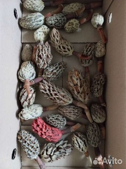 Природные материалы