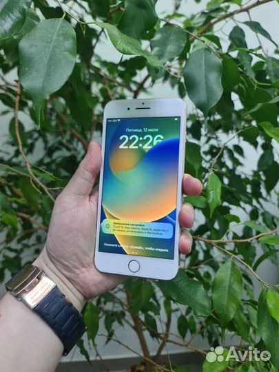 iPhone 8 Plus, 256 ГБ