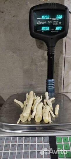 Корни хрена