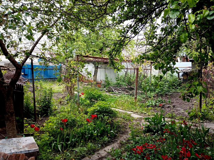 Дом 34 м² на участке 4 сот.