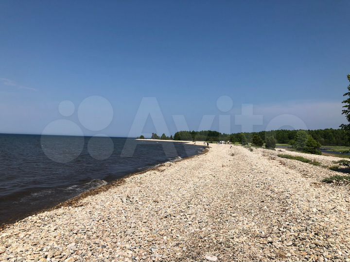 Участок 6 га (ИЖС)