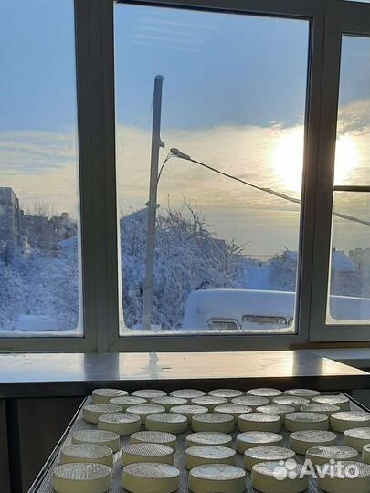 Работа на частной сыроварне